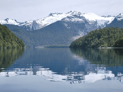 Esquel Con Campo De Tulipanes