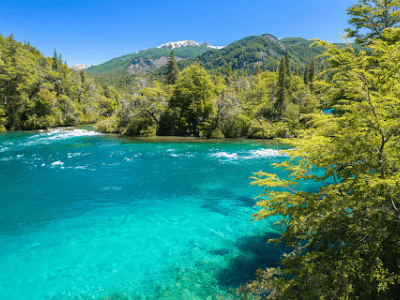 Bariloche Y San Martin De Los Andes Con Tulipanes