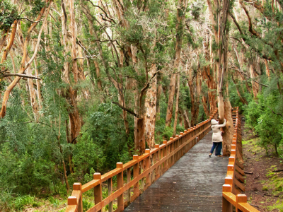 Bariloche Y San Martin De Los Andes