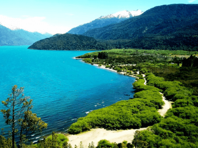 Bariloche Y San Martin De Los Andes Con Tulipanes