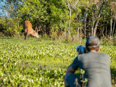 Ibera, Mocona E Iguazu Otro Concepto