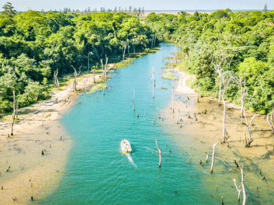 Ibera, Mocona E Iguazu Otro Concepto