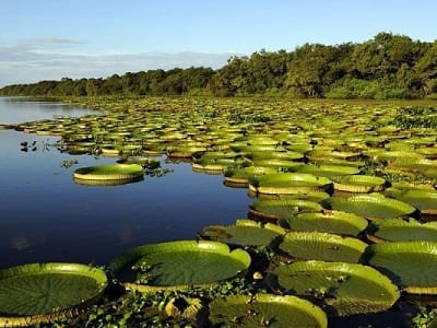 Esteros Del Ibera, Saltos Del Mocona Y Cataratas