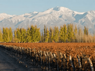 Mendoza, San Juan Y La Rioja