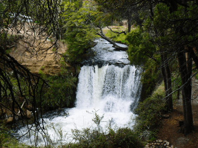 Bariloche Y San Martin De Los Andes Con Tulipanes