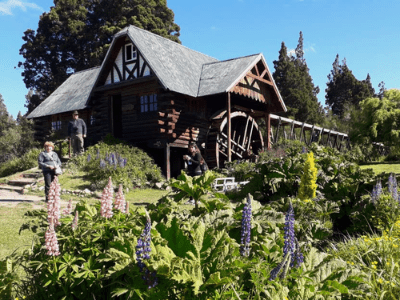 El Bolson Con Campo De Tulipanes