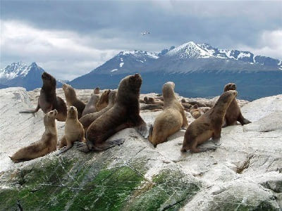 Experiencia Ushuaia - Exclusiva Mujeres