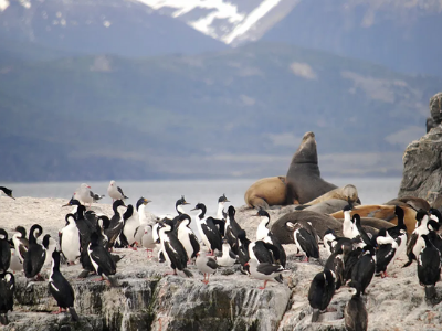 El Calafate, El Chalten Y Ushuaia