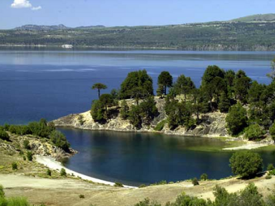 Araucarias Milenarias