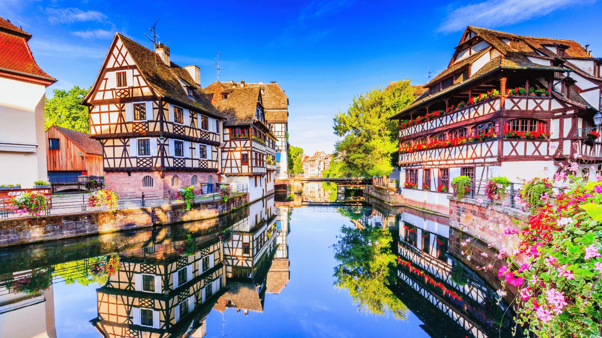 ENTRE ALPES Y VIÑEDOS - SUIZA CON ALSACIA