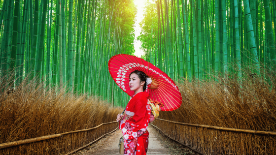 COREA Y JAPON