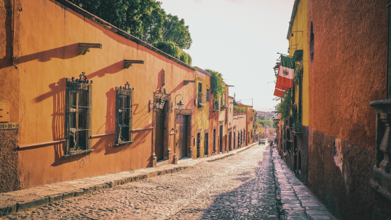 MEXICO MAGICO Y NUEVA VALLARTA