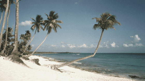 DOMINICANA ENTRE AMIGOS